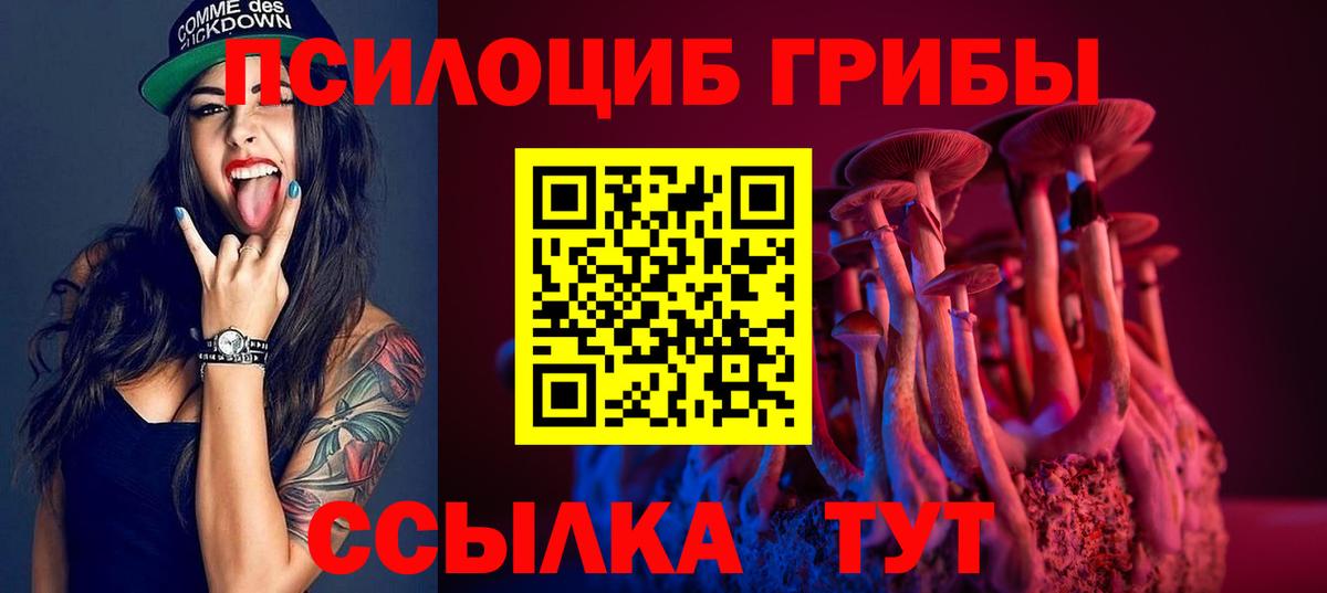 Псилоцибиновые грибы Psilocybe Нижнекамск